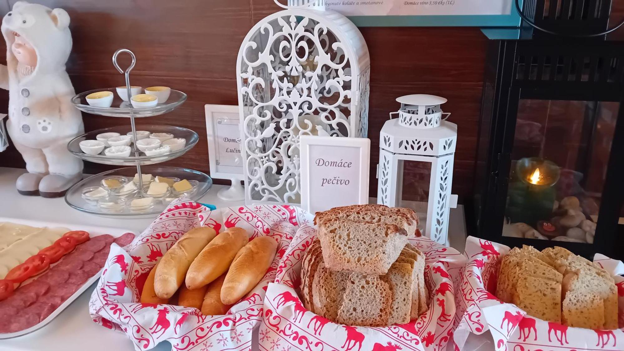 Penzion Vilka Podhajcanka Podhájska المظهر الخارجي الصورة